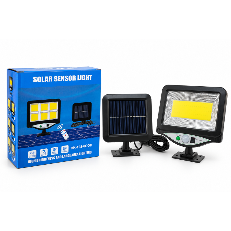 Вуличний LED ліхтар з дистанційною сонячною панеллю 100 1-COB (60 шт)